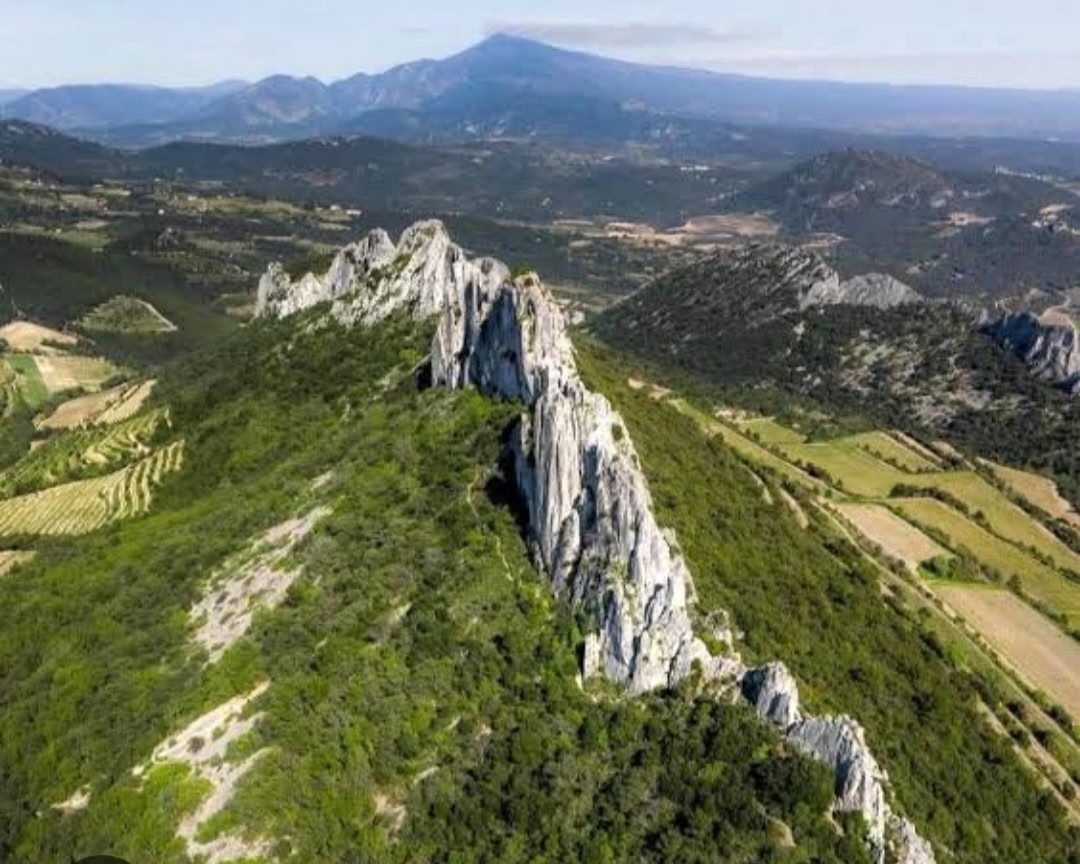 Dentelles de Montmirail